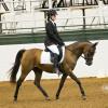 Kahli at the 2014 GSWC Platinum Classic in Katy, TX.